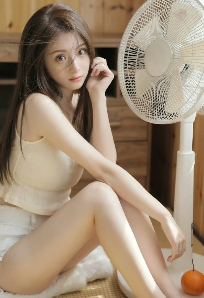 甄嬛传 封面